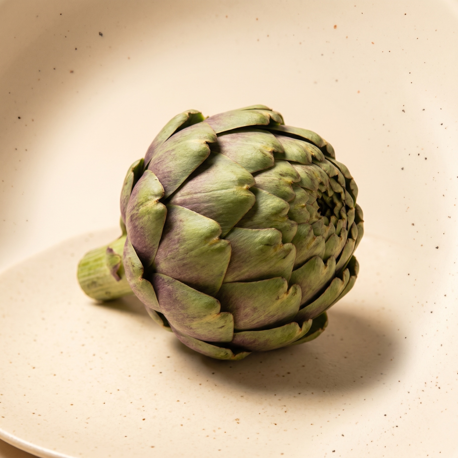 Whole artichoke on a cream surface